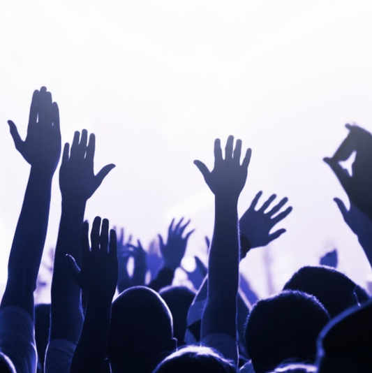 People at a concert.
